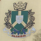 Application of middle arms of Knjaževac on municipal building