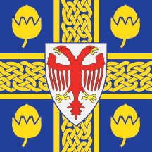 Flag of Leskovac
