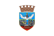 Flag of Zrenjanin