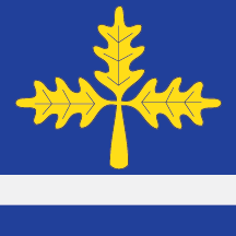 Flag of Mladenovac