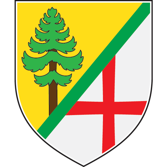 Грб Бора