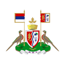 Застава Љига у употреби