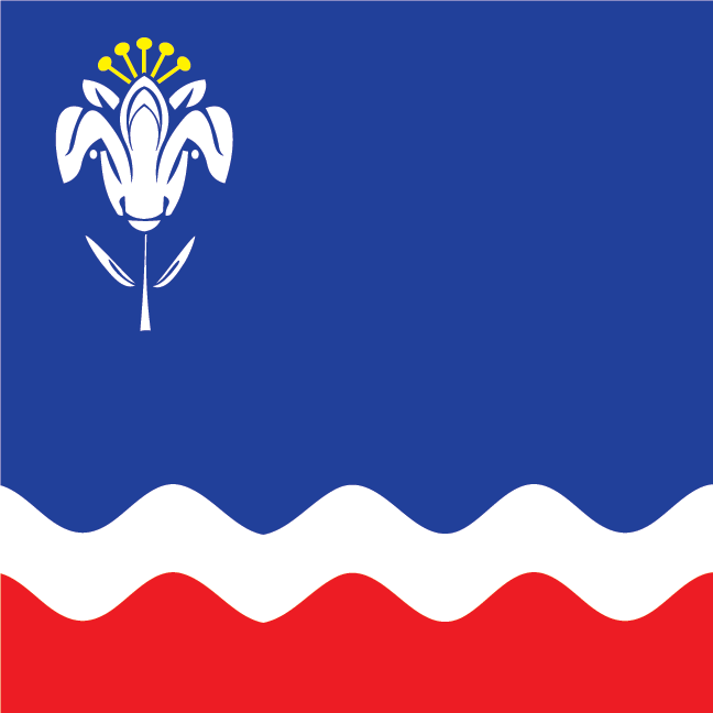 Застава Шапца