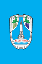 Застава Власотинца
